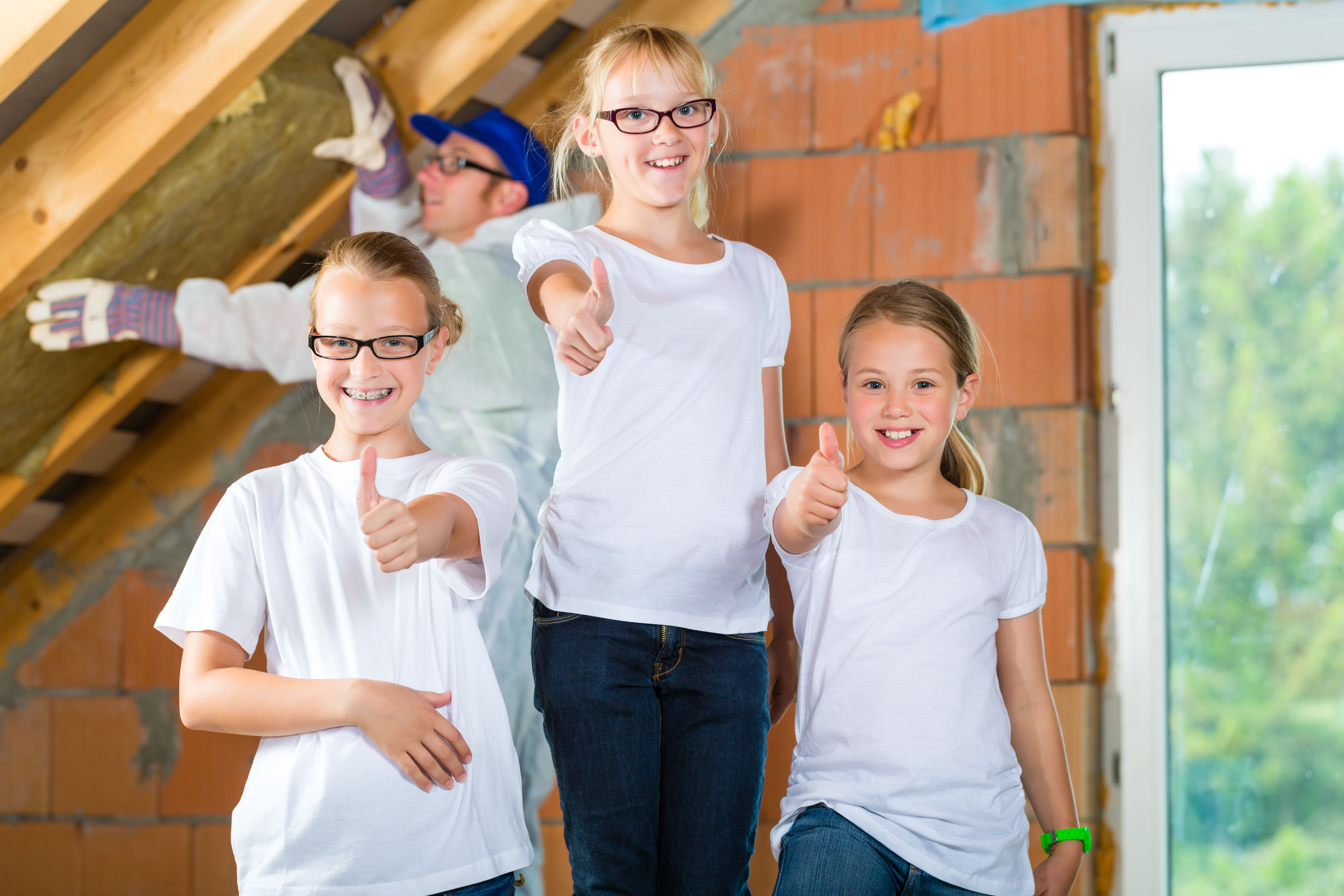 Free Home Insulation