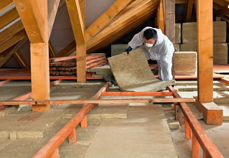 Free loft insulation Grant